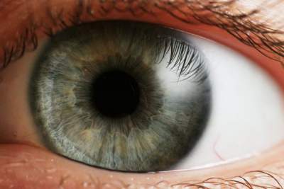 internet custody of the eyes