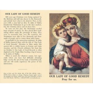 our lady of good remedy prayer card