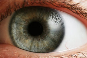 Internet Custody of the Eyes: A Way to Break Gripping Porn Addiction