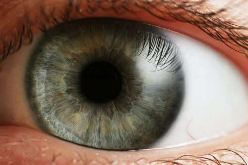 custody of the eyes