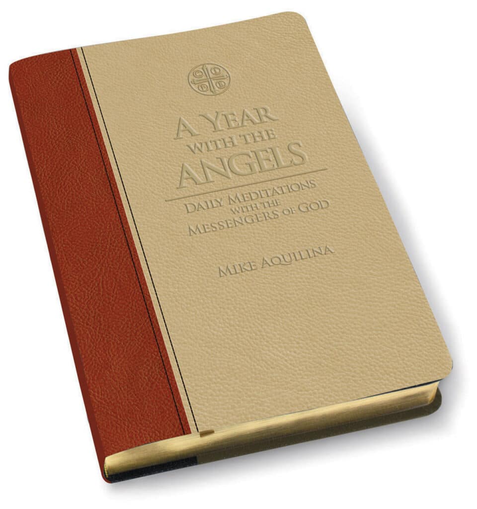 a year with the angels